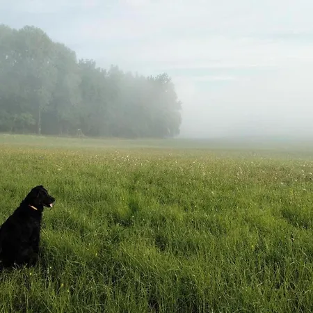 South Bohemia Family Escape Vila Bechyně