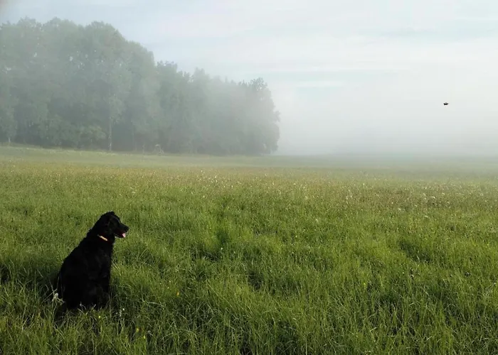 South Bohemia Family Escape ヴィラ Bechyně