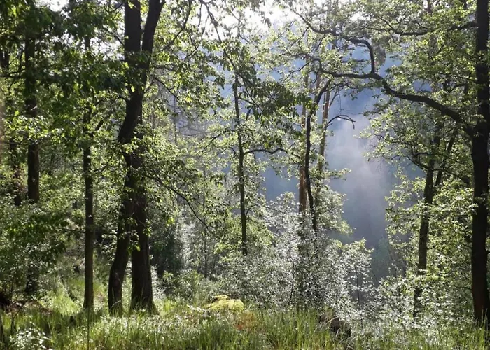 ヴィラ South Bohemia Family Escape Bechyně